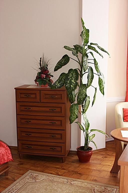 Olymp Penzion Komárno Zimmer foto